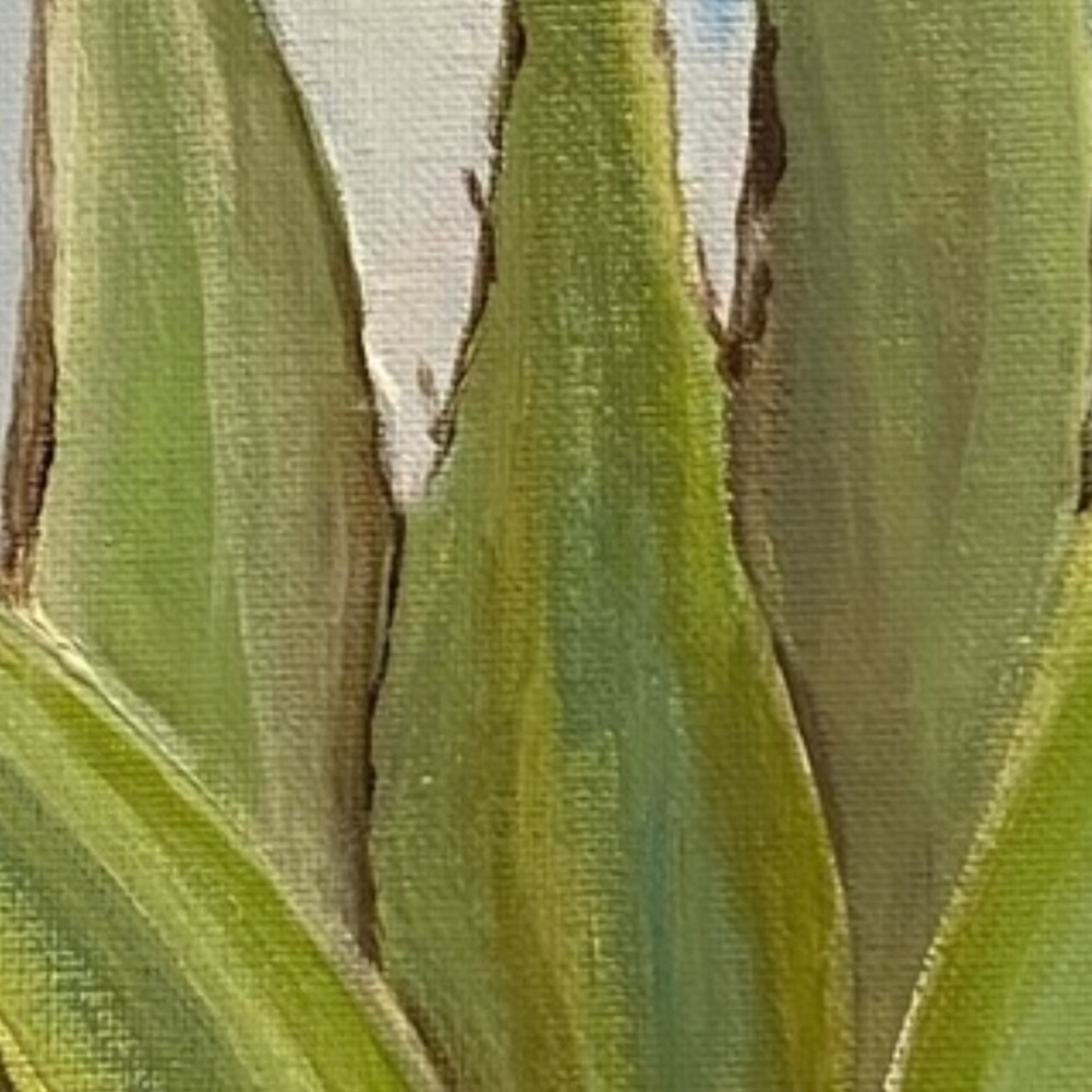 CACTUS THERAPY - Picture 3 of 6